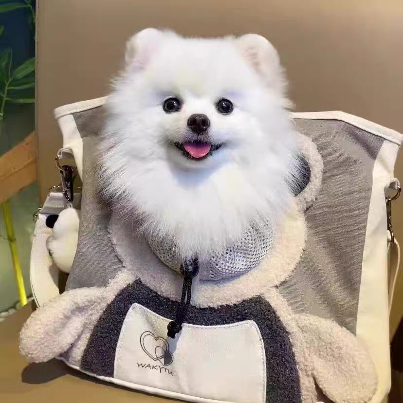 Pet carrier shoulder bag