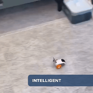 TURBO TAIL 2.0 (Buy2, Get1 Free)