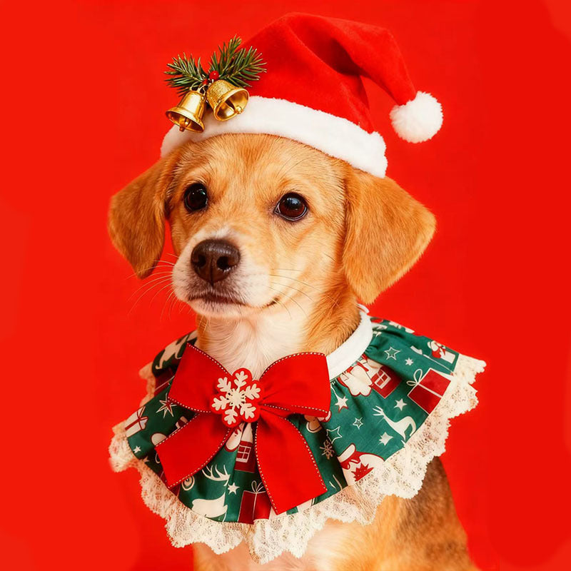 🎄Christmas Collar- Festive Lace Ruffle Scarf for Dogs and Cats