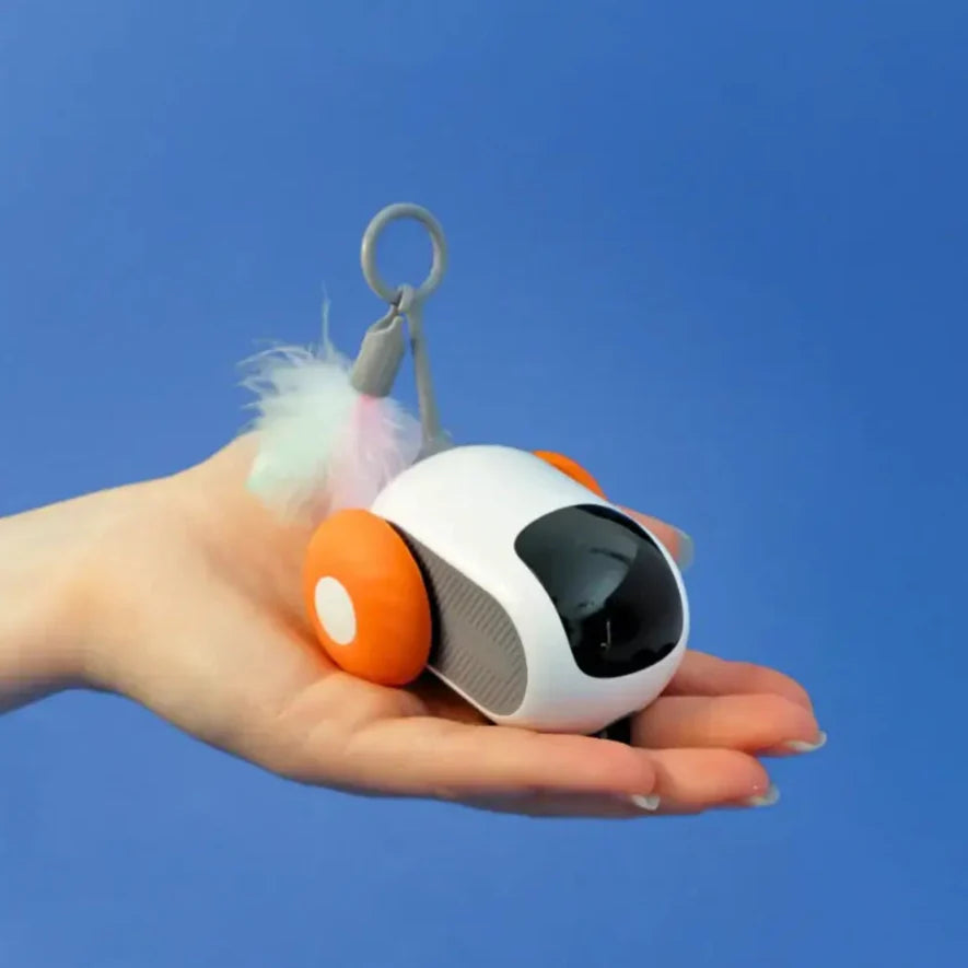 TURBO TAIL 2.0 (Buy2, Get1 Free)