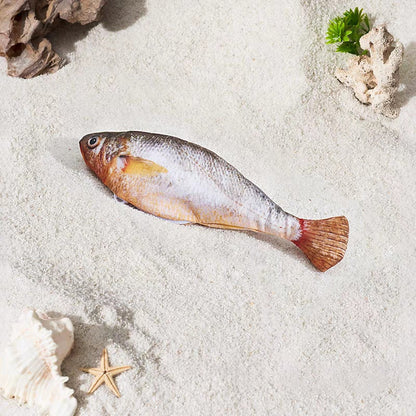 🐟Realistic Flopping Fish Cat Toys